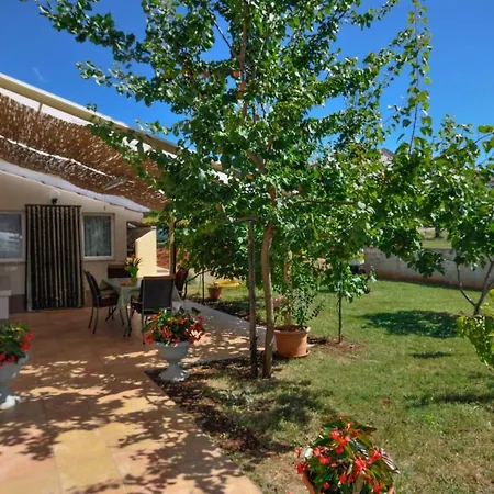 Nevija Lägenhet Novigrad Istria